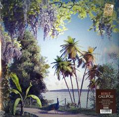 BEIRUT - GALLIPOLI (2019) - PLAK SIFIR