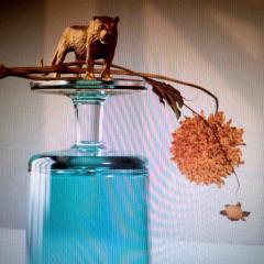 BEIRUT - GALLIPOLI (2019) - PLAK SIFIR