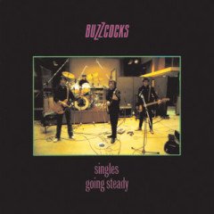 BUZZCOCKS - SINGLES GOING STEADY (1979) - PLAK SIFIR