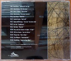 ASAD RIZVI - SILVERLINING EXPOSURES (2002) CD TECH HOUSE 2.EL