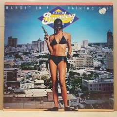 DAVID BROMBERG - BANDIT IN A BATHING SUIT (1978) - LP 2.EL PLAK