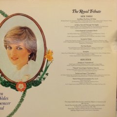 THE ROYAL TRIBUTE PRINCE CHARLES AND LADY DIANA 1981 2.EL 2PLAK 2.EL PLAK