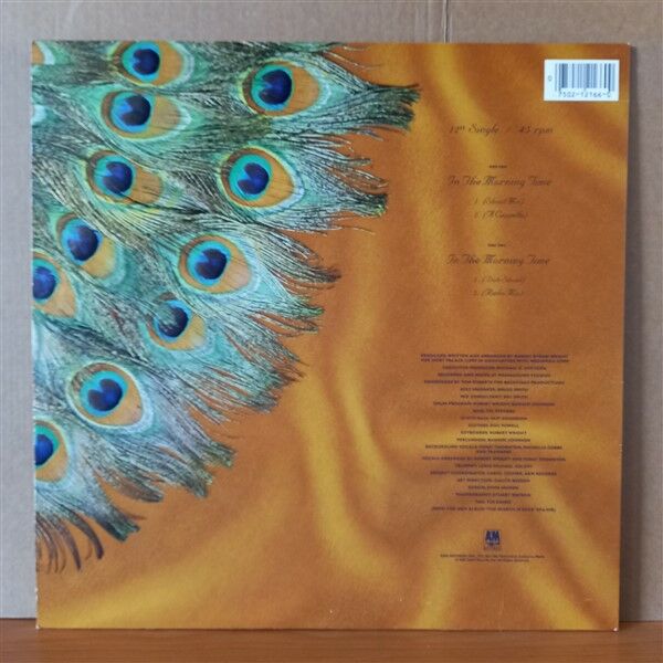 TRAMAINE – IN THE MORNING TIME (1985) - 12'' 45RPM MAXI SINGLE 2.EL PLAK