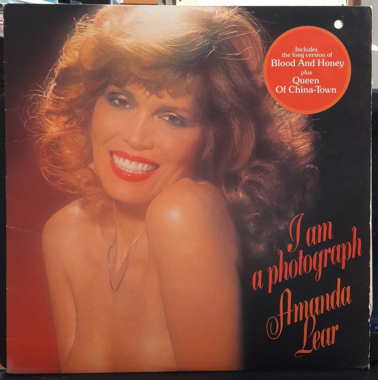 AMANDA LEAR - I AM A PHOTOGRAPH (1977) - PLAK 2.EL