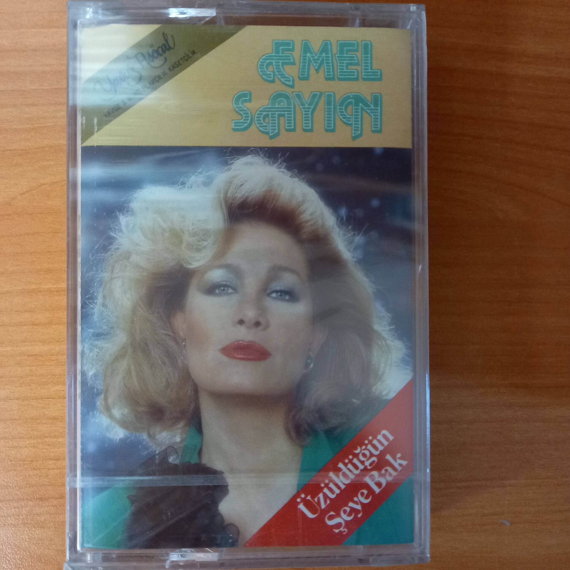 EMEL SAYIN - ÜZÜLDÜĞÜN ŞEYE BAK (1990) - KASET SIFIR