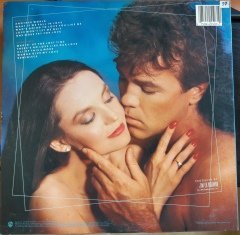 CRYSTAL GAYLE & GARY MORRIS - WHAT IF WE FALL IN LOVE? (1987) - 2.EL PLAK