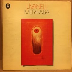 ZÜLFÜ LİVANELİ - MERHABA 1977 2.EL PLAK
