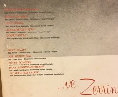 ZERRİN ÖZER - VE ZERRİN ÖZER 1981 2.EL PLAK