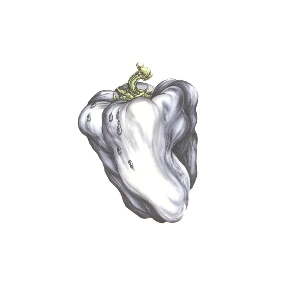 WEEN - WHITE PEPPER (2000) - LP 2026 GREEN PEPPER COLOURED EDITION SIFIR PLAK