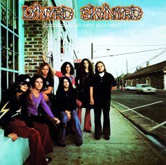 LYNYRD SKYNRD 1973 PRONOUNCED 'LEH-'NERD 'SKIN-'NERD LP MUSIC ON VINYL 180GR SFR