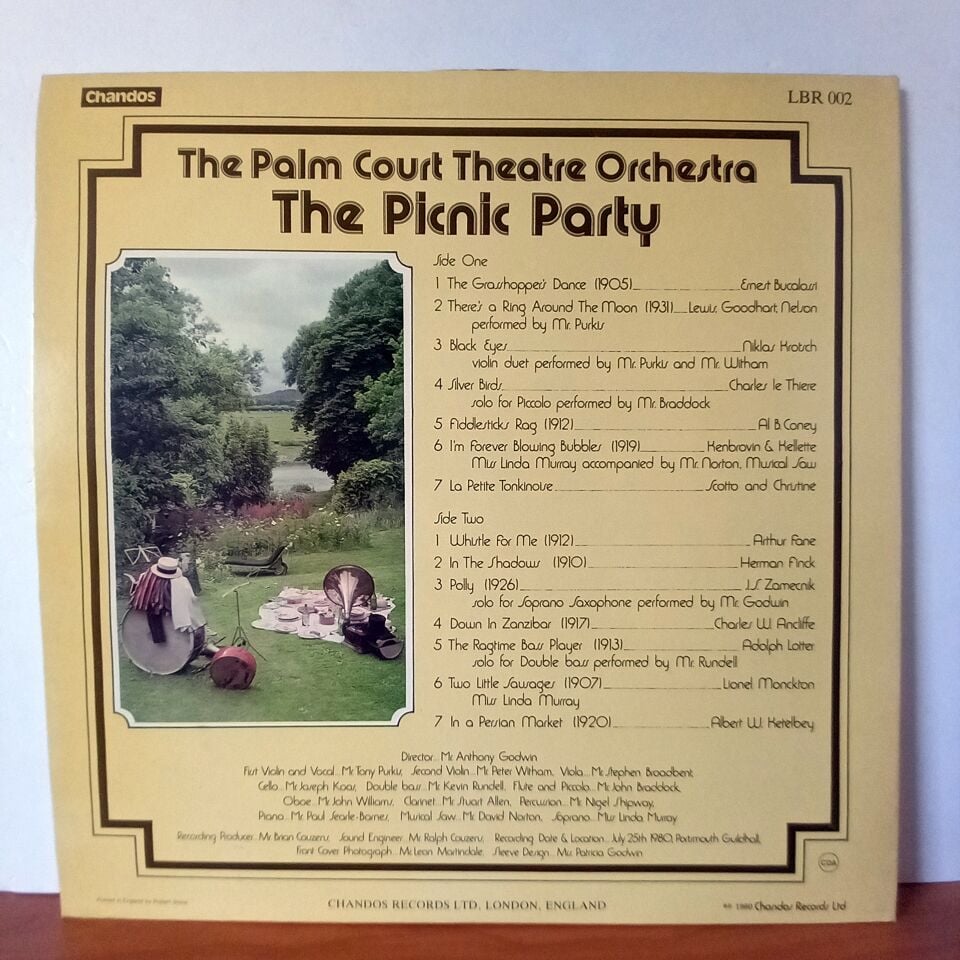 THE PICNIC PARTY / THE PALM COURT THEATRE ORCHESTRA (1980) - LP 2.EL PLAK