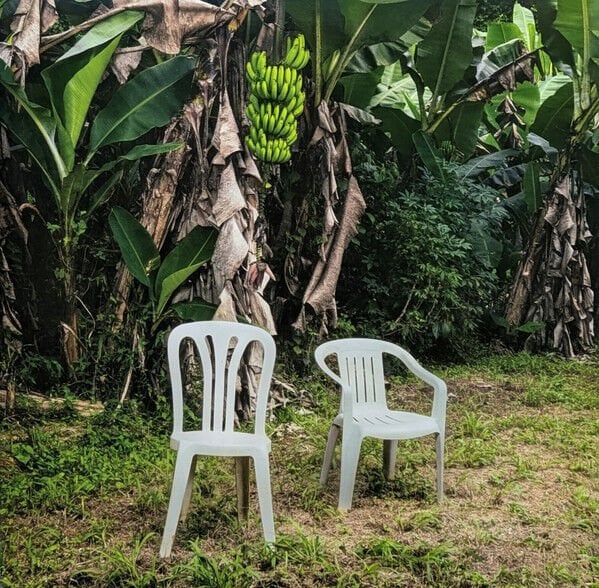 BAD BUNNY - DEBI TIRAR MAS FOTOS (2025) - 2xLP 2026 WHITE COLOURED EDITION LATIN POP HIP HOP SIFIR PLAK