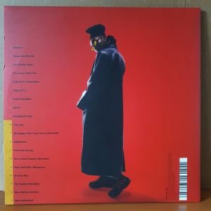 LITLE SIMZ - SOMETIMES I MIGHT BE INTROVERT (2021) - 2LP 2.EL PLAK