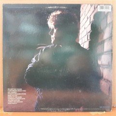 DAN HARTMAN - I CAN DREAM ABOUT YOU (1984) - PLAK 2.EL