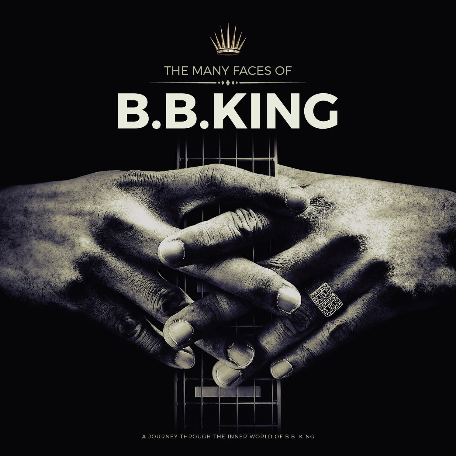 B.B.KING - MANY FACES OF B.B.KING (2025) feat STEVIE RAY VAUGHAN ETTA JAMES PAT METHENY RAY CHARLES MUDDY WATERS DAVE BRUBECK (2025) - 2LP COMPILATION GREY COLOURED SIFIR ALBÜM