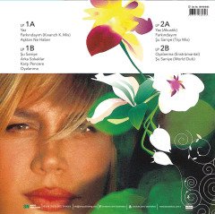 SEZEN AKSU - YAZ BİTMEDEN (2003) - 2LP 2021 BASIM SIFIR PLAK
