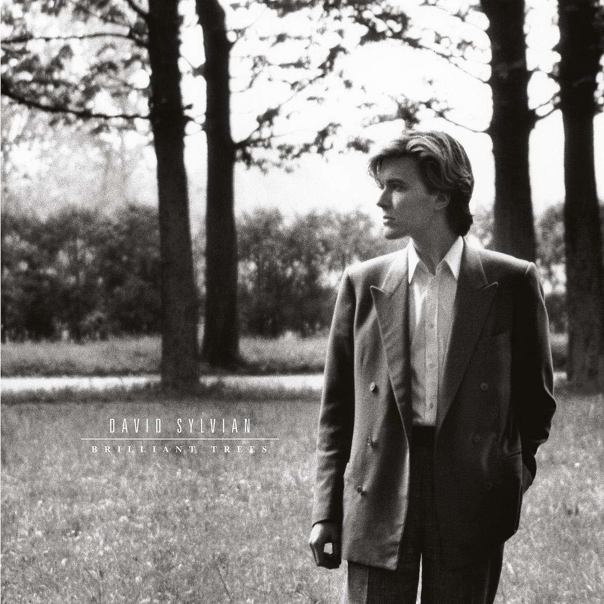 DAVID SYLVIAN - BRILLIANT TREES (1984) - PLAK SIFIR