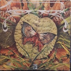 SPYRO GYRA - MORNING DANCE (1979) - PLAK 2.EL