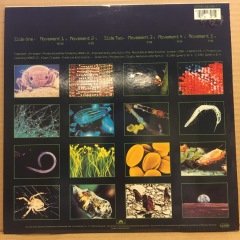 VANGELIS - SOIL FESTIVITIES (1984) 2.EL PLAK