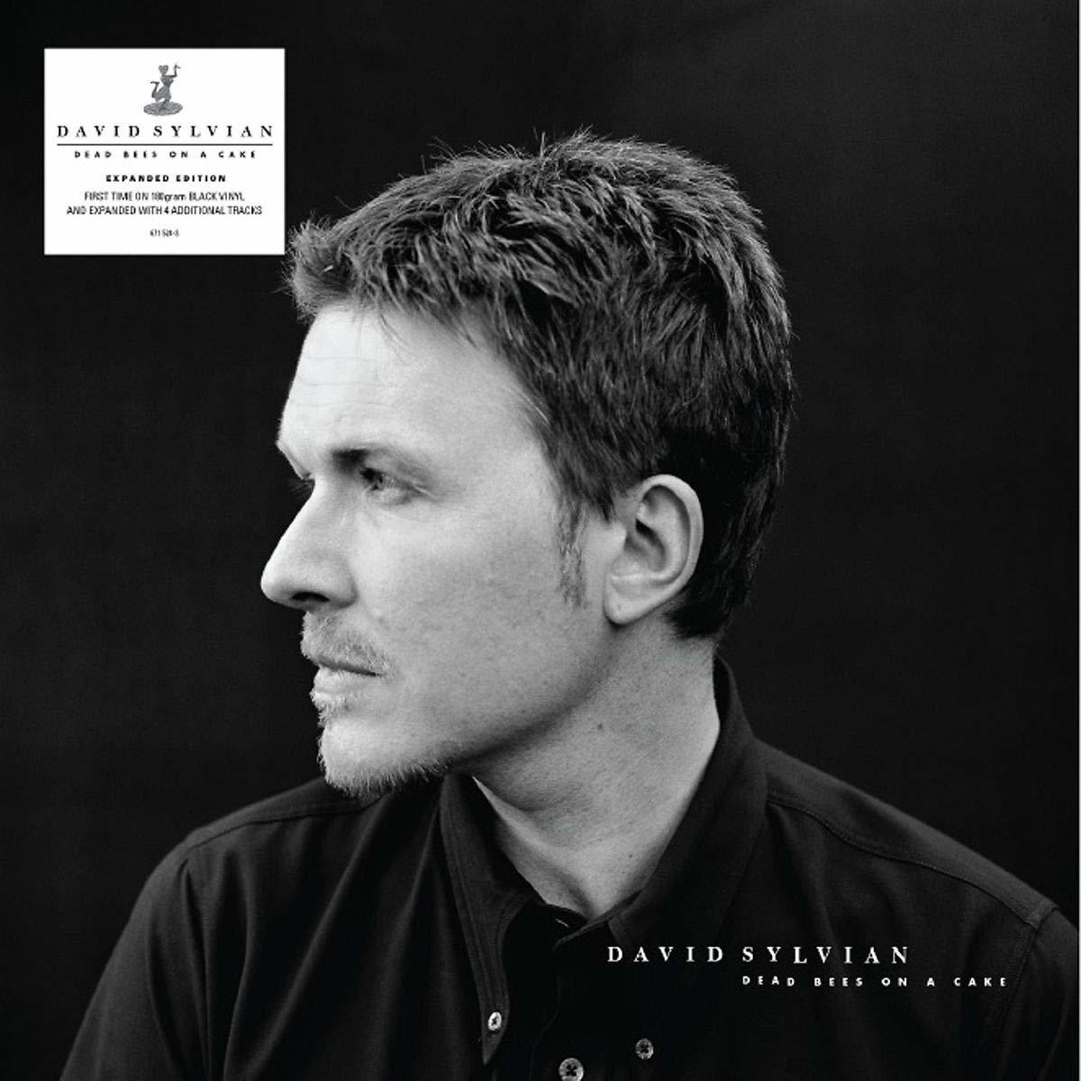 DAVID SYLVIAN - DEAD BEES ON A CAKE (1999) - PLAK SIFIR