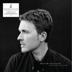 DAVID SYLVIAN - DEAD BEES ON A CAKE (1999) - PLAK SIFIR