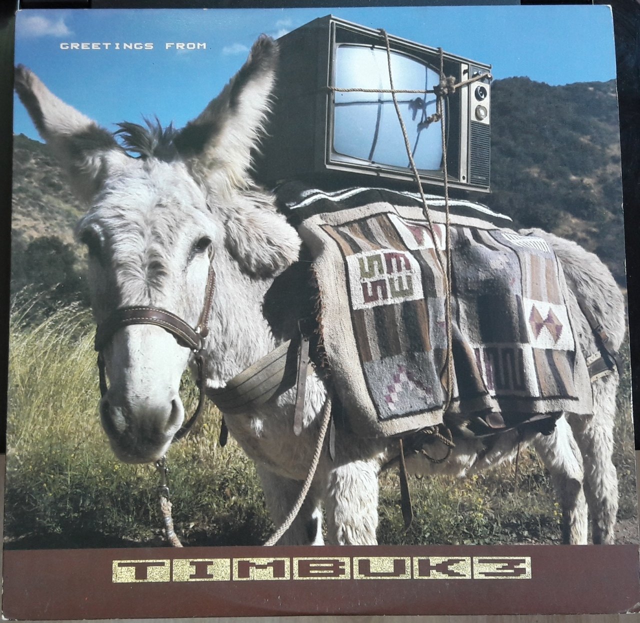 TIMBUK 3 - GREETINGS FROM TIMBUK 3 (1986) - 2.EL PLAK