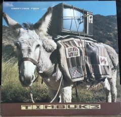 TIMBUK 3 - GREETINGS FROM TIMBUK 3 (1986) - 2.EL PLAK