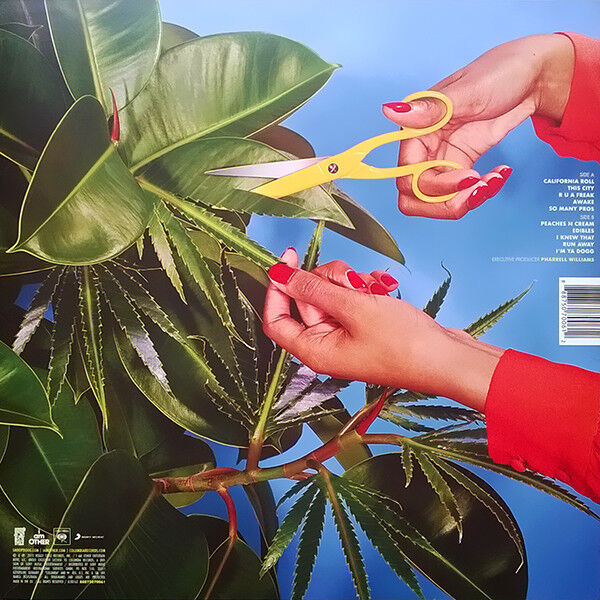 SNOOP DOGG - BUSH (2015) - LP BLUE COLOURED EDITION SIFIR PLAK