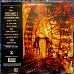 MY CHEMICAL ROMANCE - I BROUGHT YOU MY BULLETS , YOU BROUGHT ME YOUR LOVE (2002) - LP 2009 EDITION MADE IN USA SI8FIR PLAK