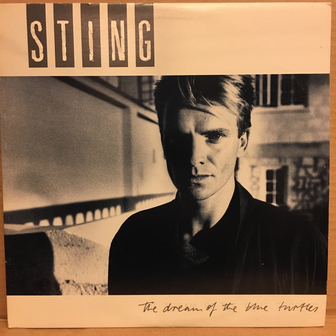 STING - THE DREAM OF THE TURTLES (1985) - PLAK 2.EL