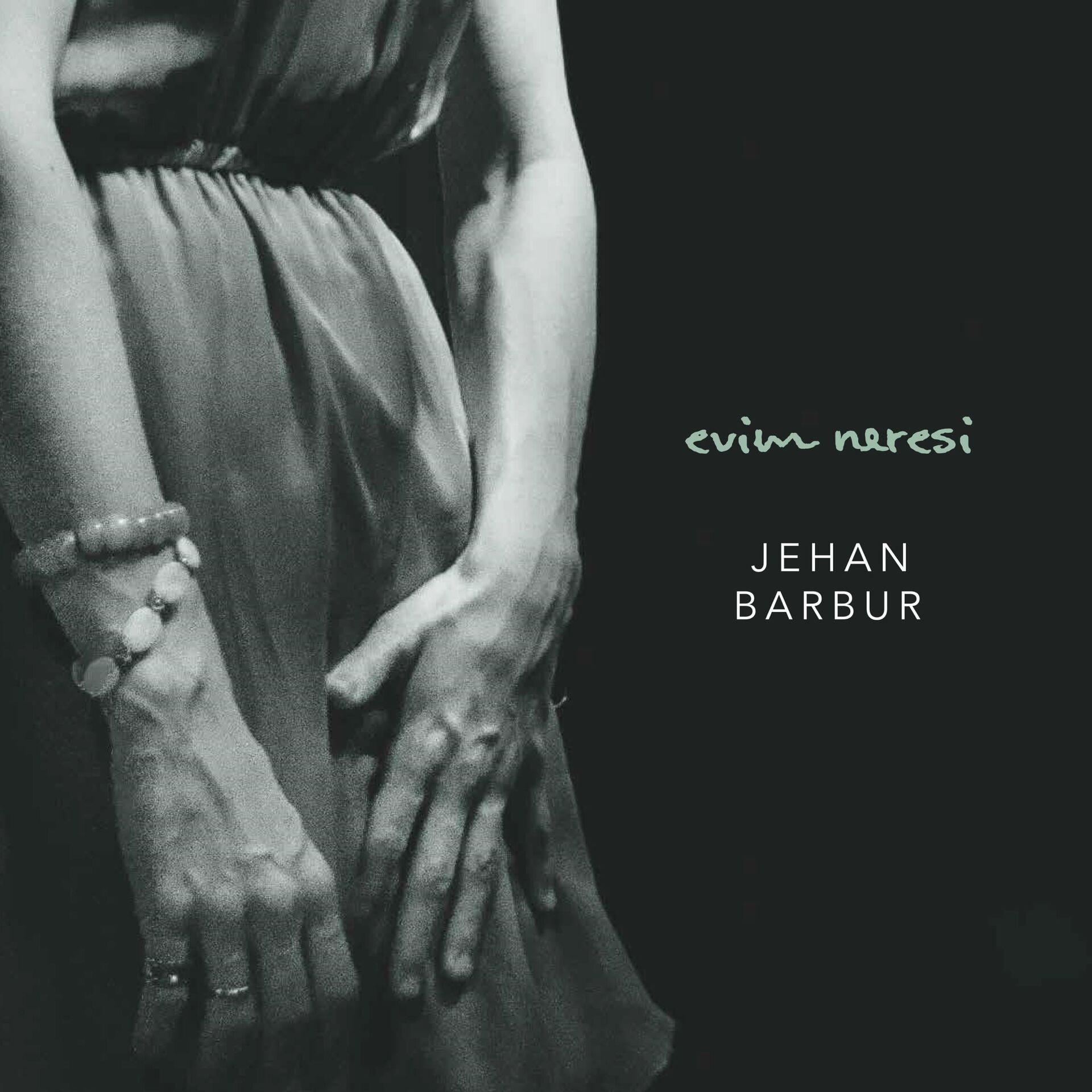 JEHAN BARBUR - EVİM NERESİ (2017) - LP 2026 BASIM SIFIR PLAK