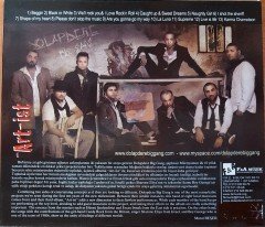 DOLAPDERE BIG GANG - ART-İST CD 2.EL