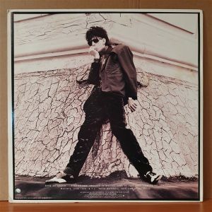 RIC OCASEK - THIS SIDE OF PARADISE (1986) - LP 2.EL PLAK