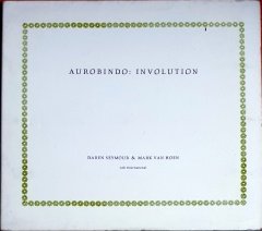 DAREN SEYMOUR & MARK VAN HOEN - AUROBINDO: INVOLUTION (1995) - CD ASH INTERNATIONAL 2.EL