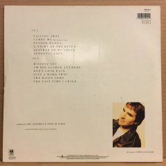 CHRIS DE BURGH - FLYING COLOURS 1988 2.EL PLAK