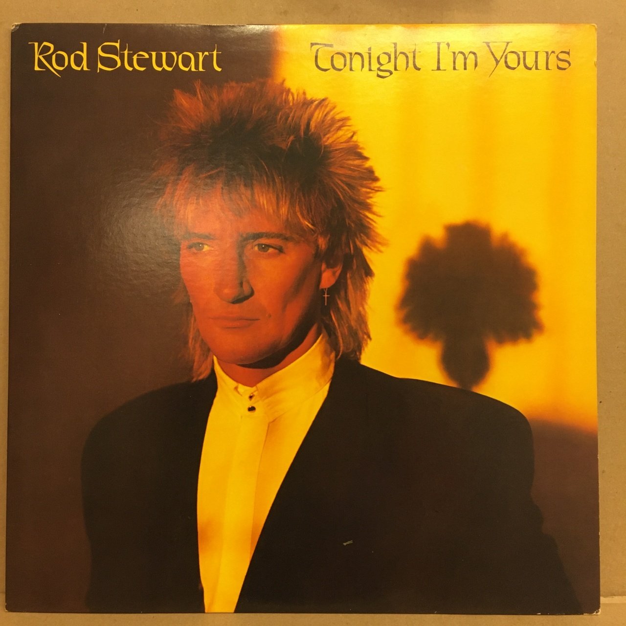 ROD STEWART - TONIGHT I'M YOURS 1981 2.EL PLAK