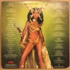 CHER - TAKE ME HOME (1979) - LP 2.EL PLAK