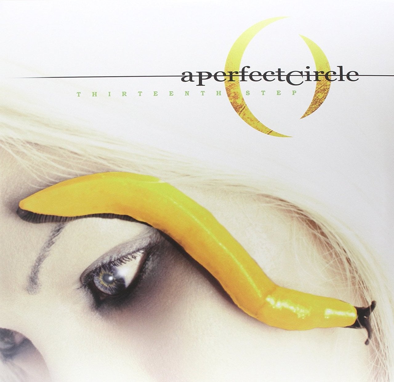 A PERFECT CIRCLE - THIRTEENTH STEP (2003) - LP SIFIR