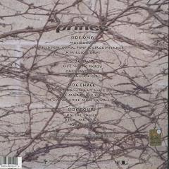 PRINCE - MUSICOLOGY (2004) - 2LP 2019 EDITION SIFIR PLAK