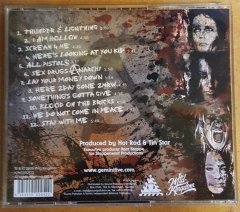 GEMINI FIVE (2008) SEX DRUGS ANARCHY CD HARD ROCK 2.EL