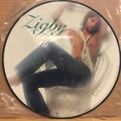 DIESEL GREATEST HITS, ZIGBY 80'S PICTURE LP 2004 2.EL PLAK