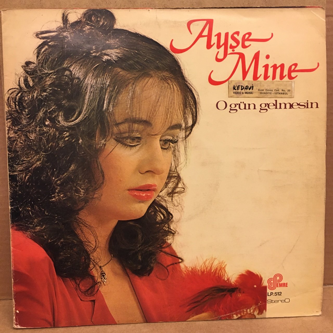 AYŞE MİNE - O GÜN GELMESİN 1982 2.EL PLAK