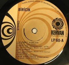 BİRİCİK - GURBET KUŞLARI 1981 2.EL PLAK
