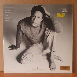 AL JARREAU - THIS TIME (1980) - LP 2.EL PLAK